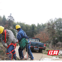 国网株洲渌口区供电公司开展隐患治理 乡亲们喜收“开春大礼”