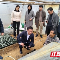 湖南工业大学教授博士组团服务 助力乡村产业振兴