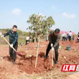 践行绿色生态发展理念 株洲市市场监管局百余名干部参加义务植树