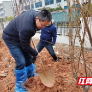 株洲市九方中学开展义务植树活动 为幸福株洲助力