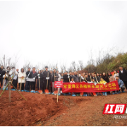 湖南工业大学电气与信息工程学院开展学雷锋义务植树主题党日活动