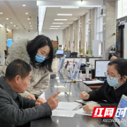 芦淞区与湖北大冶市实现政务服务“跨省通办”