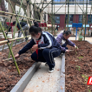 长沙市一中株洲实验学校“一新农场”开园