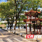 株洲市四中发布2023年创新人才学科素养春令营报名公告