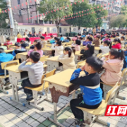 芦淞区庆云山小学：保护视力 守护“睛”彩