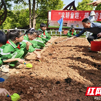 渌口区松西子小学：农耕童趣 播种希望