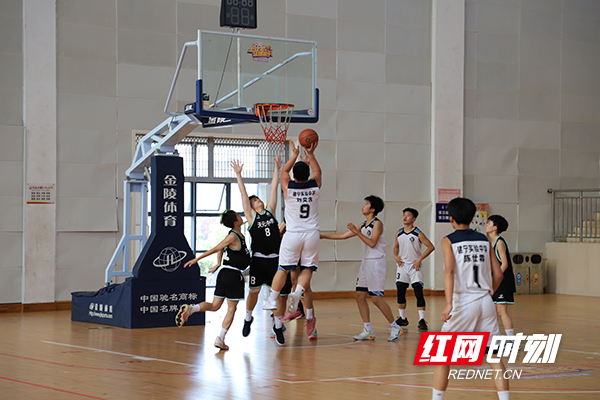谁是最终的冠军队伍？2023年天元区中小学生篮球比赛完美收官