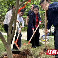 长沙市一中株洲实验学校开展谷雨植树活动