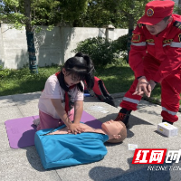 芦淞区莲塘小学开展防溺水安全教育培训