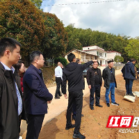 芦淞区：做好人大调研工作 探寻乡村振兴密码