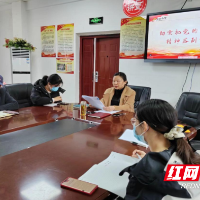 芦淞区龙泉小学开展党的二十大精神微党课宣讲活动
