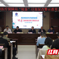 株洲市医疗保障局召开“镜鉴”以案促改专项活动警示教育大会