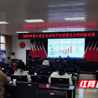 助力企业创新发展 渌口区开展知识产权专题培训