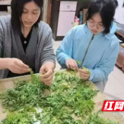 株洲市南方中学开展制作春天美食亲子活动