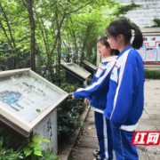 株洲市四中：“清”风满校园 “廉”花向阳开