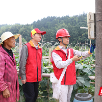 国网株洲供电公司：村网共建打造“白关丝瓜”金字招牌