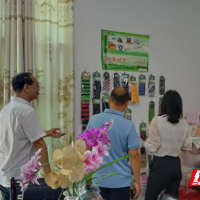 炎陵县积极开展外贸企业大走访