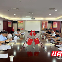 中共株洲市生物医药与大健康产业链联合委员会召开工作会