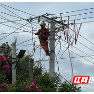 国网茶陵县供电公司：高效解决水厂用电问题