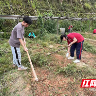 株洲市特殊教育学校组织学生开展生产劳动实践活动