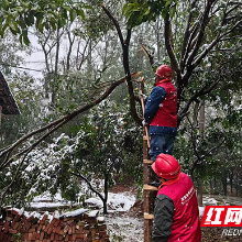 国网攸县供电公司：浴“雪”奋战护航群众温暖过冬