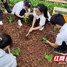 湖南铁科职院：思政课开到田间地头 助力乡村振兴