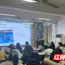共研游戏材料 株洲市学前教育教研展示周荷塘专场活动举行