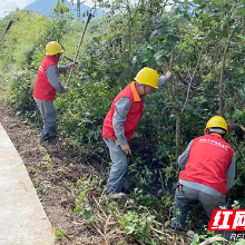 国网株洲供电公司：砍青扫障 温暖度冬