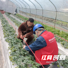 国网醴陵市供电公司：暖心服务守好“菜篮子”用电