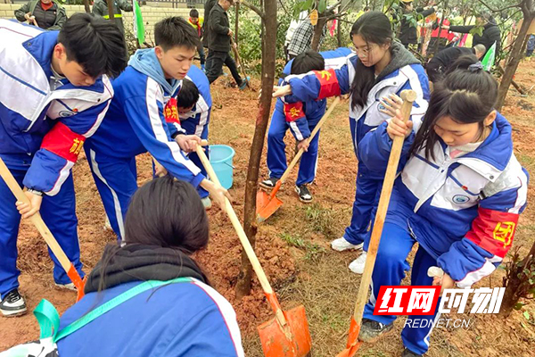 株洲市四中：“植”此青绿 拥抱春天