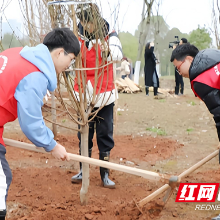 湖南工业大学师生开展植树活动