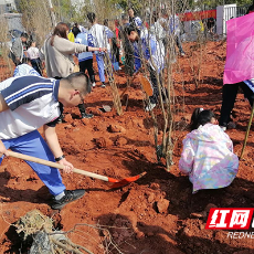 株洲市九方中学开展植树节亲子活动