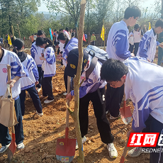 株洲市九方中学开展学雷锋志愿服务活动