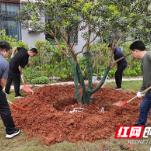 长沙市一中株洲实验学校：雨生百谷 “植”此青绿