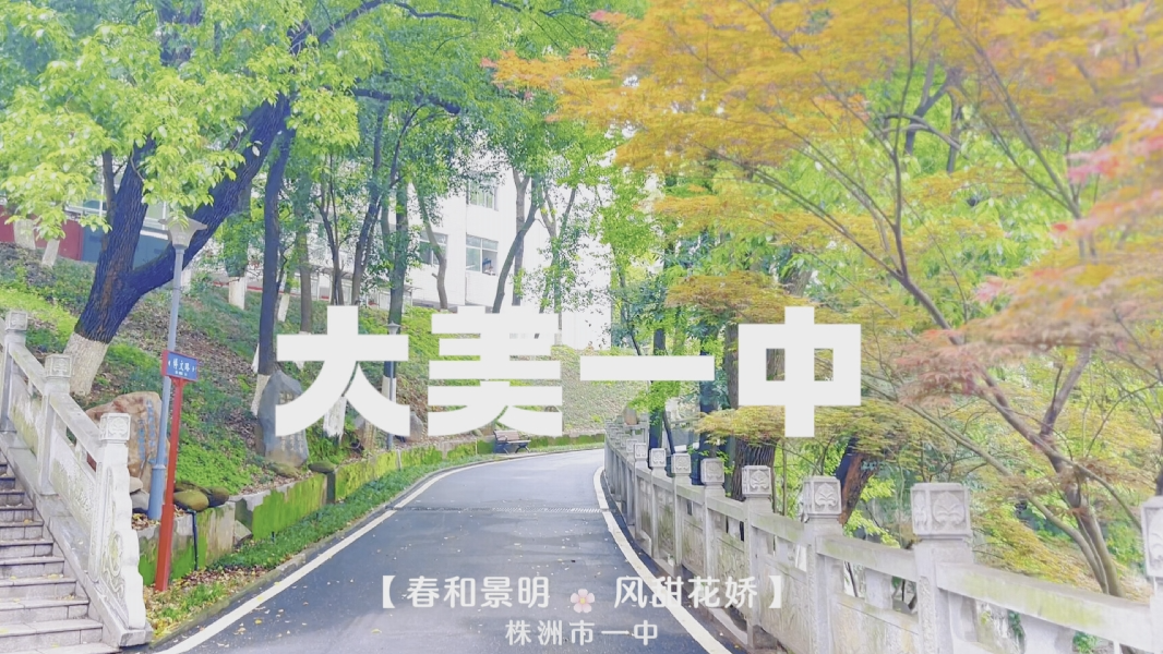 视频丨株洲市一中：春和景明 风甜花娇