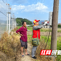 国网醴陵市供电公司：供电服务进大棚 守护农户“致富菜”