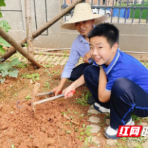 天元区隆兴中学：师生携手夏日除草 共筑绿色校园