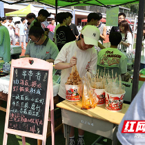 株洲市十八中开展生涯心理游园会活动