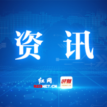 不具备资质，请勿选择！荷塘区校外培训机构“黑名单”公布