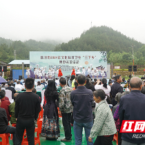 视频|助力乡村振兴  株洲“三下乡”活动启动