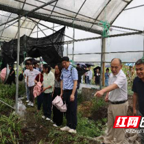 株洲开展党建暨野外识药、中药标本采集及研学活动