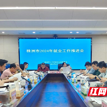 株洲召开2024年就业工作推进会