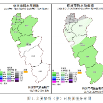 -1°C！1月9日株洲天气将“冻”真格