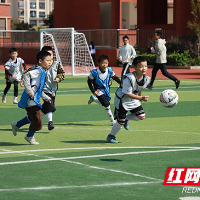 “小株”紧急集合!天元区白鹤菱溪小学举行第二届“小菱角杯”足球赛