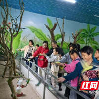 株洲市特殊教育学校开展“探秘动物王国,共享欢乐时光”社会实践活动