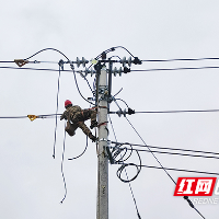 国网茶陵县供电公司:抗冰改造“强”线路,民生用电“暖”人心