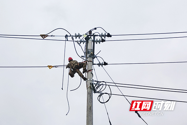 微信图片_20251029114855_133_65.jpg 微信图片_20251029114855_133_65.jpg