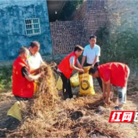 茶陵县虎踞镇:“秸”尽所能,“点草成金”