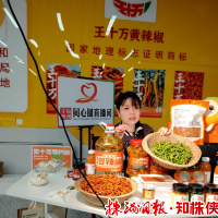 从“满天星”到“一团火” 株洲43万名新阶人士“破圈出道”