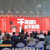 视频丨“茶圈巨星”茶陵红茶在第二十六届中国中部（湖南）农博会自荐